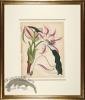 Andrews Botanicals in Gold Frame 01